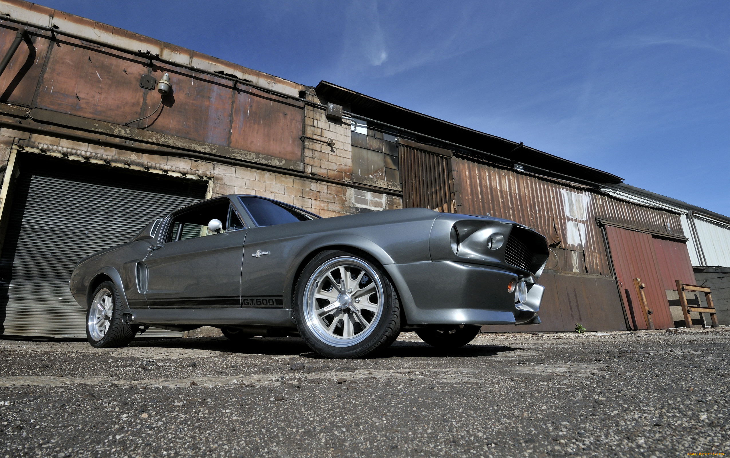 , mustang